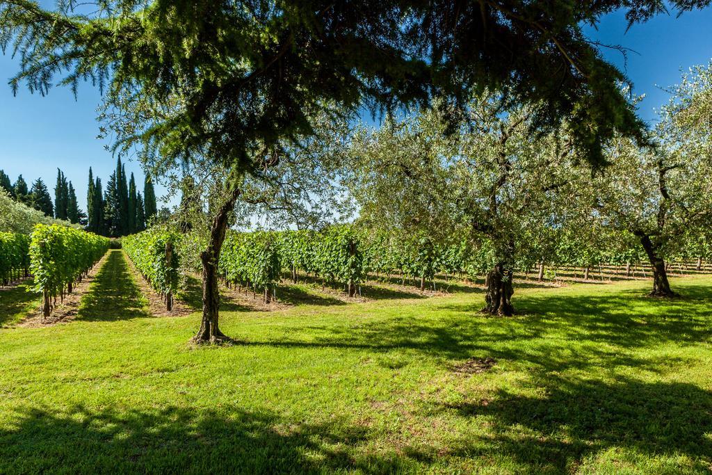 Quercia Belvedere Relais Bardolino Exterior photo